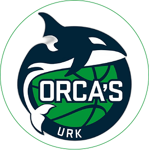 Logo BV Orca's Urk