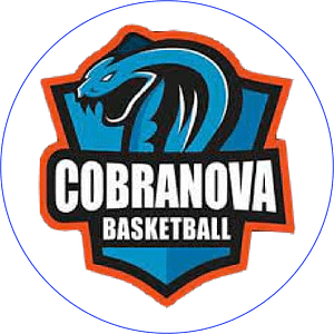 Logo Cobra Nova